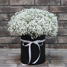 Цветочная композиция из Гипсофила в шляпной коробке #REPLACE_PRED# Григорьевской