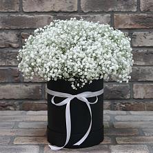 Цветочная композиция из Гипсофила в шляпной коробке в Григорьевской