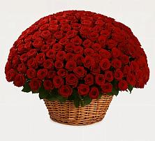 Премиум букет из: Розы #REPLACE_PRED# Григорьевской