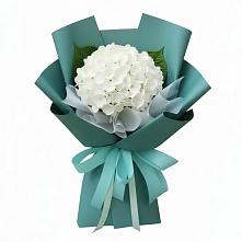 Букет цветов из:  Гортензия #REPLACE_PRED# Григорьевской